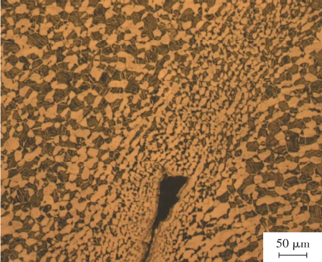 飛機(jī)發(fā)動(dòng)機(jī)用鈦合金鍛件裂紋分析