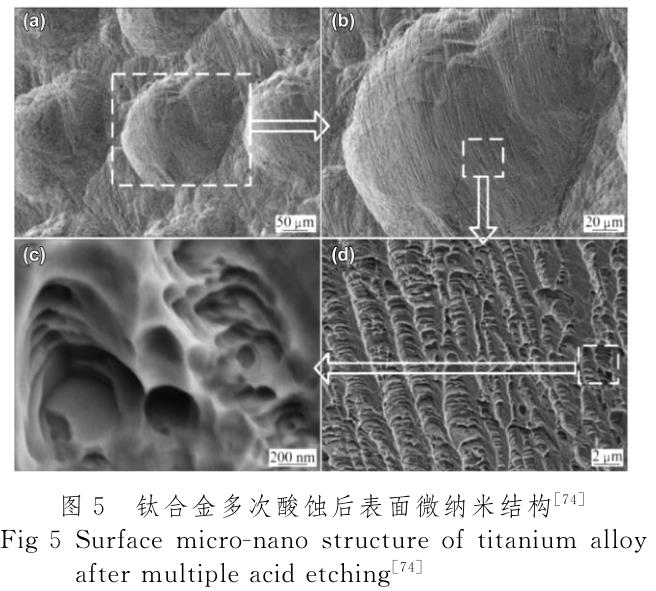 醫用鈦合金表面改性技術研究進展